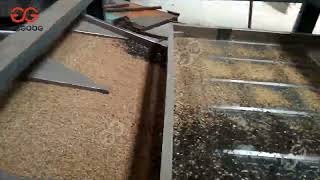 Sunflower Seed Peeling Machine Sunflower Seeds Hulling Machine [upl. by Grantham]