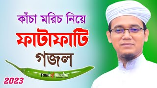 কাঁচা মরিচ নিয়ে ফাটাফাটি গজল Kacha Morich  Kalarab Ghazal  Kolorob Gojol  Ghazal  Islamic Song [upl. by Carolus201]