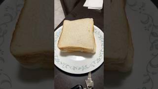 First time making a special sentient sandwich [upl. by Elnora]