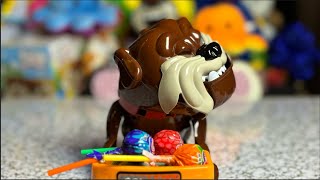 Mad Dog beware dont get his favorite Lollipops 😁 funnytoy asmr toys [upl. by Deibel]