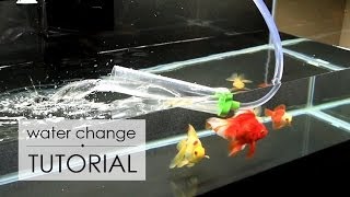 Water Change Tutorial  Goldfish Care [upl. by Hendrika]