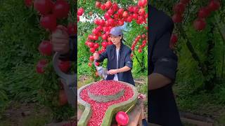 farm fresh fruits satisfyingvideo trendingnow viralvids youtubeshorts shorts [upl. by Ahsilram]