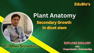 Plant Anatomy  Secondary growth  Dicot Stem  Dr Abhai Srivastava [upl. by Cohlette]