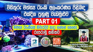 විසිතුරු මත්සය්‍ය ටැංකි අලංකරණය පිළිබඳ එක්දින පුහුණු වැඩමුළුව  Part 01 [upl. by Dionis188]