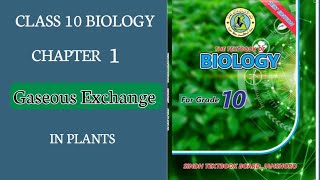 Gaseous Exchange in plants  10th Class Biology sindh board  Structure of stomataPhotosynthesis [upl. by Ahsinuq]