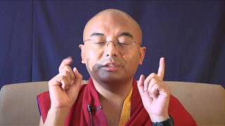 Interview with MIngyur Rinpoche [upl. by Leahcimnaes]