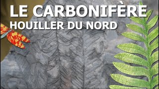 Le Carbonifère houiller du Nord et sa flore fossile [upl. by Netaf]