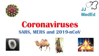 Introduction to Coronaviruses SARS MERS COVID19 Hosts Symptoms History of SARS and MERS [upl. by Ilecara]