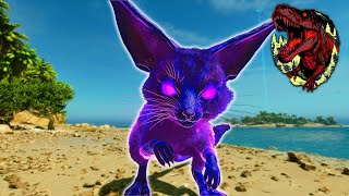 LE JERBOA MYTHIC EST ÉCLATAX  13 Primal Chaos [upl. by Dorreg]