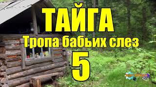 ОТШЕЛЬНИКИ  ЖИЗНЬ В ТАЙГЕ 5 из 16 [upl. by Edorej]