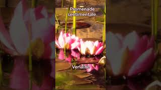 Promenade sentimentale  Paul Verlaine [upl. by Ameerahs]