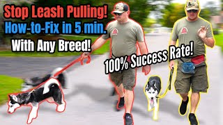 STOP Leash Pulling with ANY BREED Right NOW SO EASY [upl. by Adnuhsar]