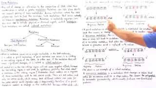 Point Mutations BasePair Substitutions [upl. by Dlanger]