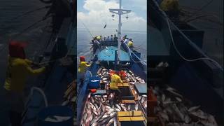 Ternate Maluku Utara Mancing Cakalang mancingikanmancingmaniamancingliar [upl. by Anerev]