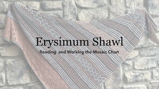 How to Read and Knit from a Mosaic Knitting Chart Erysimum Shawl Knitting Tutorial [upl. by Emelda]