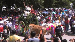 Reportajes de Alvarado  Fiesta de la Vendimia Parras de la Fuente Coah [upl. by Iviv]