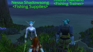 World Of Warcraft NPCs Nessa Shadowsong [upl. by Aihsekel]