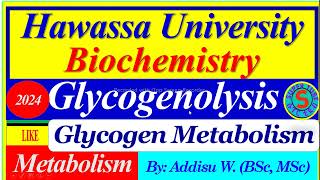 Glycogenolysis Glycogen Breakdown  Metabolism metabolism biochemistry glycogenesis glycolysis [upl. by Hailey]