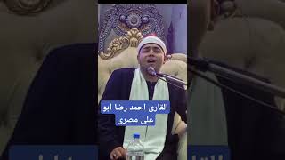 Beautifull voice Tilawat misri qari🥰🌹misriqaritilawat quran shortvideo shortsfeed shorts [upl. by Mears]