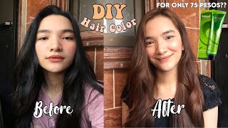 DIY HAIR COLOR AT HOME USING BREMOD NO BLEACH  DENAYS ANN [upl. by Fatima]