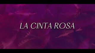 La cinta rosa TECH HOUSE REMIX [upl. by Shirlene]