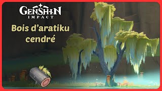 Bois d’aratiku cendré  Route de farm  Genshin Impact [upl. by Oeak559]