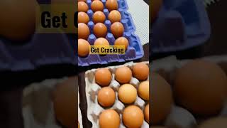 Eggscellent👌 Get Cracking [upl. by Buiron370]