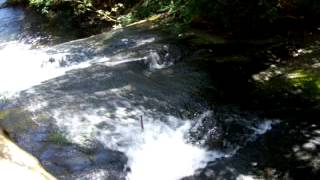 Water falls In The Mountains of North Carolina [upl. by Michele370]