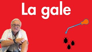 La gale le parasite symptômes et diagnostic traitement [upl. by Blanding]