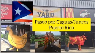 Paseo por Caguas y Juncos Puerto Rico 🇵🇷 Restaurantes 🧑‍🍳 y Food Truck Park 🍴🍴 [upl. by Brick]