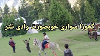 Beautiful Valley Naltar Tourist Horse Riding  Gilgit Baltistan  Pakistan [upl. by Ahsiakal]