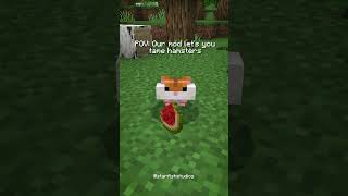 POV Our mod lets you tame HAMSTERS🐹 [upl. by Blanc]