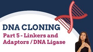 DNA Cloning Part 5  Linkers and Adaptors  DNA ligation  Recombinant DNA Technology  In Hindi [upl. by Mehetabel]