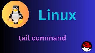 1350 Basic Linux Commands  tail command Explained shortsvideo linux linuxtutorial [upl. by Edobalo]