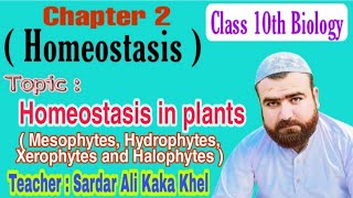 Homeostasis in Plants  Osmoregulation in plants   Class 10 Biology  Armaghan Tution Academy [upl. by Wilona998]