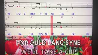 quotAuld Lang SynequotKaraokeNotesLyricsBandurriaFluteViolin [upl. by Digdirb]