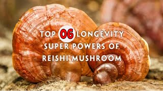 TOP 6 Health Benefits of Reishi Mushroom Ganoderma Coffee  DXN Product  KSA Current Events [upl. by Nea]