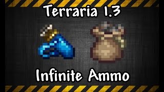 Terraria 13 Infinite Ammo Endless Quiver amp Endless Musket Pouch [upl. by Aiem]