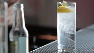 How to Make the Gin amp Tonic  Liquorcom [upl. by Hurlee]