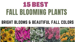 Fall Blooming Plants for Landscaping  Fall Gardening Ideas  Long Blooming Plants for Landscaping [upl. by Yelnahs]