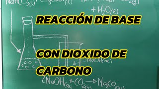 REACCION DE BASE CON DIOXIDO DE CARBONO chemistry ciencia edutuber aprendizaje experimento [upl. by Kathlin26]