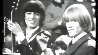 The Rolling Stones – Little Red Rooster HQ1964 for the first time on TV with this song [upl. by Trevah]