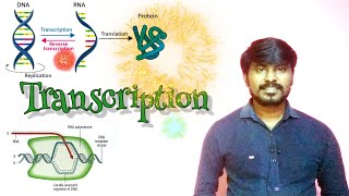 Transcription  Molecular Biology  Class 12  Neet Biology [upl. by Yltnerb]