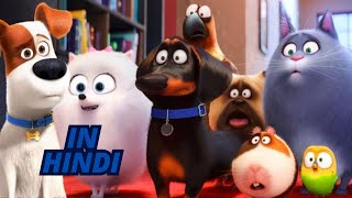 The Secret Life of Pets Explained in Hindi  The Secret Life of Pets Full Review and Explanation [upl. by Leruj]