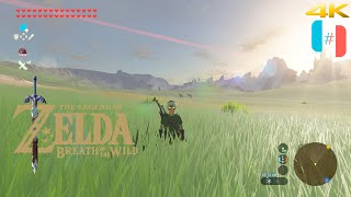 Ryujinx 106914  The Legend of Zelda Breath of the Wild 4K UHD  Switch Emulator PC Gameplay [upl. by Namas]