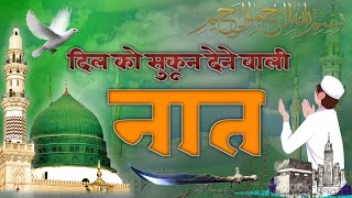 Most Popular Naat Sharif  Naat Sharif  Beautiful Urdu Nazam  New Naat Sharif  Saeed Akhtar Naim [upl. by Marney]