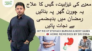 gas problem in stomach pain relief  bloating stomach remedies by Dr Essa Herbalist  Green Roots [upl. by Erait344]