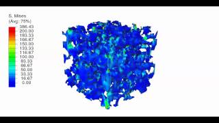 Fertig Research Group Compression of Porous Polymer [upl. by Niai]