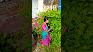 নিজের পরি চয়যে নিজে ভুলে যায় সে shortvideo short viralshorts [upl. by Coyle700]