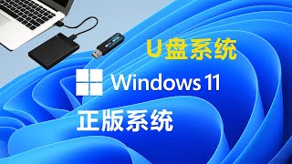 如何获取正版WIN系统、如何在 USB、移动硬盘上运行 Windows 10  11 系统【桃花源】 [upl. by Lehpar]